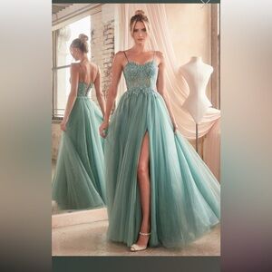 Ladivine C150 Sheer Bodice Tulle Skirt Dress